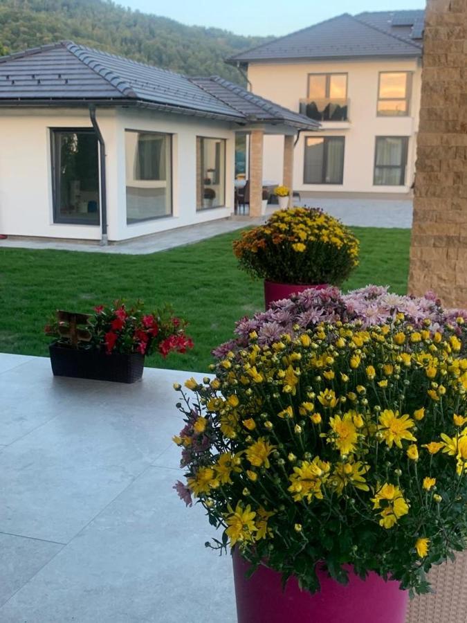 Vila Diamond Lux&Spa Sovata Exterior photo
